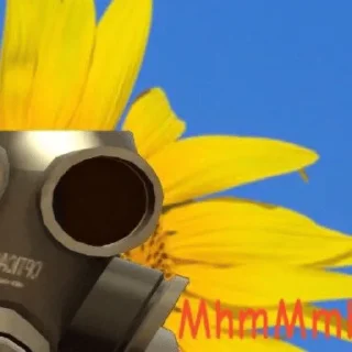 Telegram sticker ☀️ tf2 shitpost