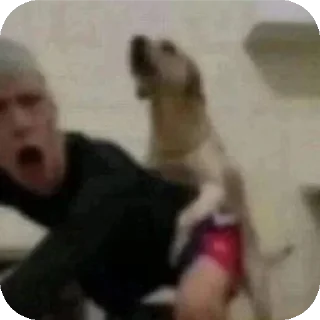 Video sticker 👄 @Memes_MA