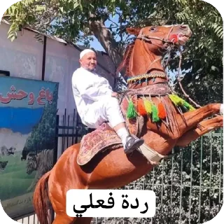 Telegram sticker 🐎 @Memes_MA