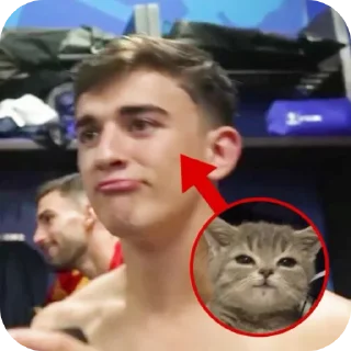Telegram sticker 🥺 FCB !!! @ململ خداس