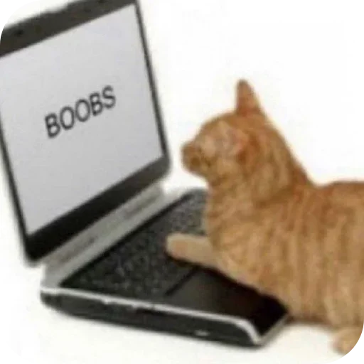 Телеграм стикер 🎈 Sacanagens4