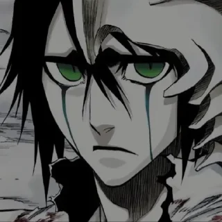 Telegram sticker 🕳 惣右介 ᎒ Ulquiorra @l6Fl6