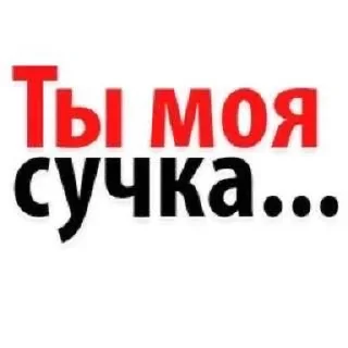Video sticker 😁 Больше стиков тут: @stikery4