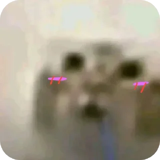 Video sticker 🥰 Котик со слюной