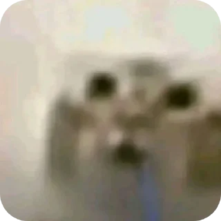 Sticker 👍 Котик со слюной