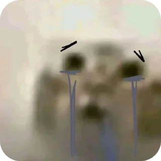Video sticker 😞 Котик со слюной