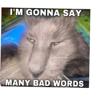 Telegram sticker 🐱 Mariaz