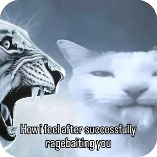 Video sticker 🐱 Mariaz