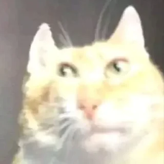 Telegram sticker 🔫 Mariaz