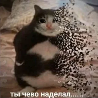 Telegram sticker 🌟 какая то хуетень :: @fStikBot