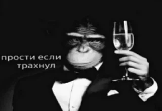 Video sticker 🥂 какая то хуетень :: @fStikBot