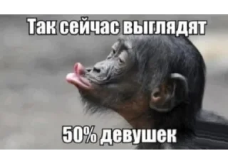 Video sticker 😂 SHEVVYAKOVVA