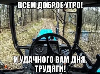 Video sticker 🫰 SHEVVYAKOVVA