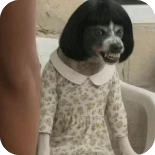 Video sticker 🫥 Myaadr