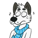 Video sticker 😳 Points