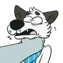 Video sticker ☠️ Points