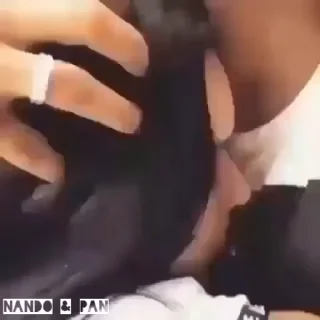 Video sticker ☺️ Amor & Pasión ❤️‍🔥