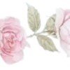 Sticker 🌸 coquette ₊˚⊹ 𝜗𝜚 by @cozycornerstore