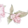 Sticker 🌸 coquette ₊˚⊹ 𝜗𝜚 by @cozycornerstore