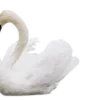 Sticker 🦢 coquette ₊˚⊹ 𝜗𝜚 by @cozycornerstore