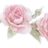 Sticker 🌸 coquette ₊˚⊹ 𝜗𝜚 by @cozycornerstore