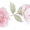 Sticker 🌸 coquette ₊˚⊹ 𝜗𝜚 by @cozycornerstore