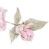 Sticker 🌸 coquette ₊˚⊹ 𝜗𝜚 by @cozycornerstore