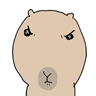 Video sticker ⭐ 되바라진 캭되바라 @moe_sticker_bot