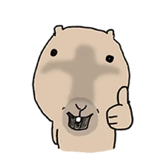 Video sticker ⭐ 되바라진 캭되바라 @moe_sticker_bot