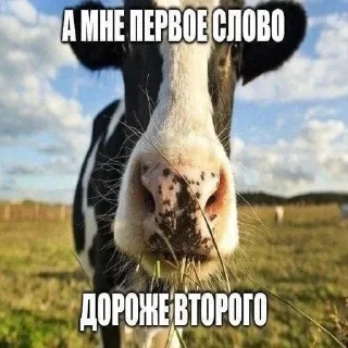 Telegram sticker 😉 Больше стиков тут: @stikery4
