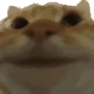 Video sticker ✅ @emodzi :: @sozdat_stikery_bot