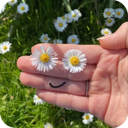 Telegram sticker 🌸 Eva's stiki @pookieeverse