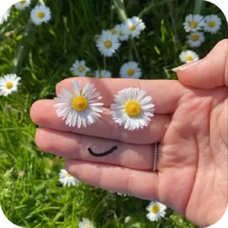 Video sticker 🌸 Eva's stiki @pookieeverse