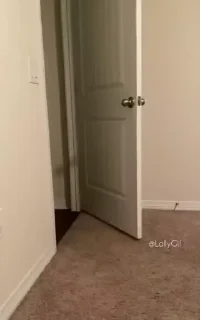 Video sticker 🐣 Muskan♡ @Peace_079