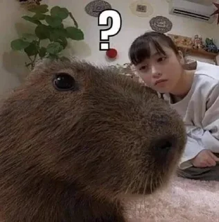 Video sticker 🤨 𝐷𝐴𝑋𝑇𝑅𝑂𝑆𝑆 Steal Pack