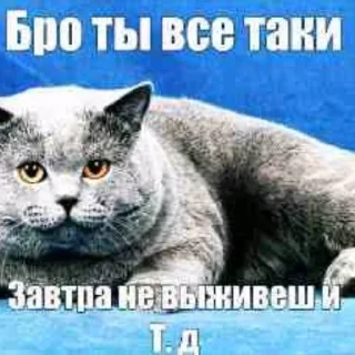 Telegram sticker 😢 Бро ты