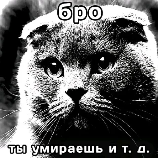 Sticker 💀 Бро ты