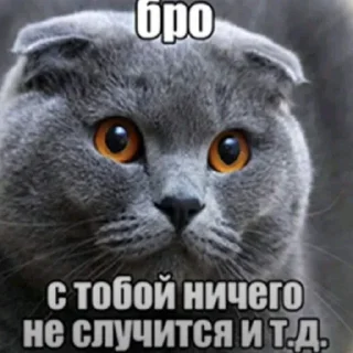 Telegram sticker 😴 Бро ты