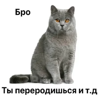 Telegram sticker 😮‍💨 Бро ты