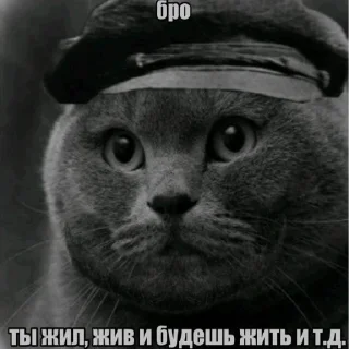 Telegram sticker 🫡 Бро ты