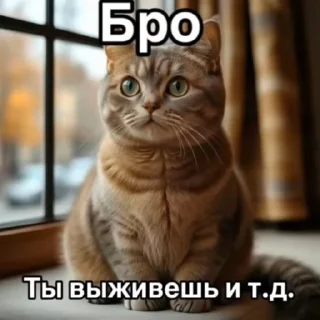 Video sticker 🤠 Бро ты