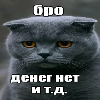 Telegram sticker 🤑 Бро ты