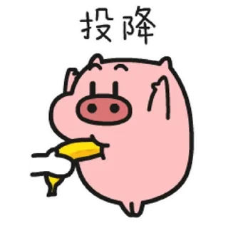 Video sticker 😊 乖巧宝宝 QUBY | 叮叮当当