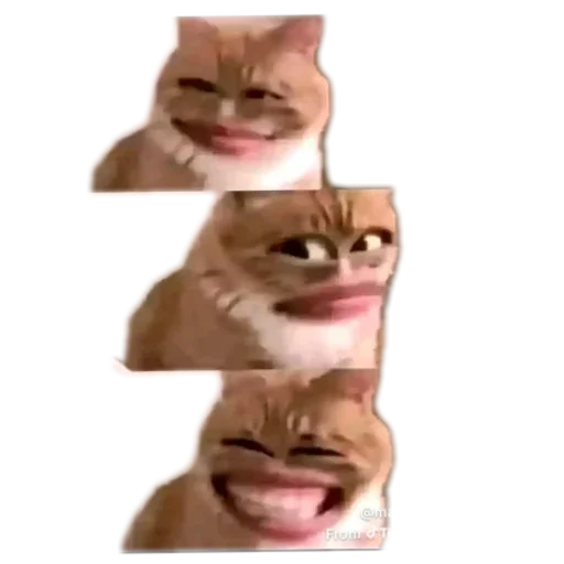 Sticker 🙄 Luu aye မူပိုင်