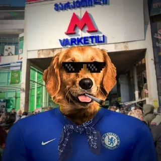 Sticker 🐕 Drogba's Stickers