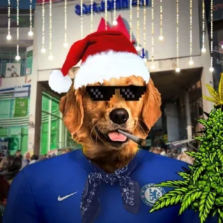 Telegram sticker 🎉 Drogba's Stickers