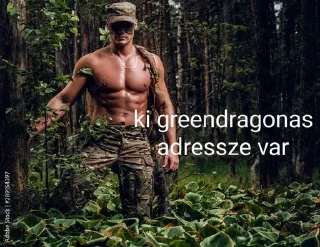 Telegram sticker 🌲 Drogba's Stickers