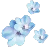 Video sticker 💐 random @seelesalt ...