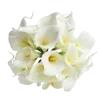 Video sticker 💐 random @seelesalt ...