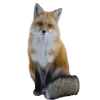 Sticker 🤩 Лисы 
tg: @IconIllusions